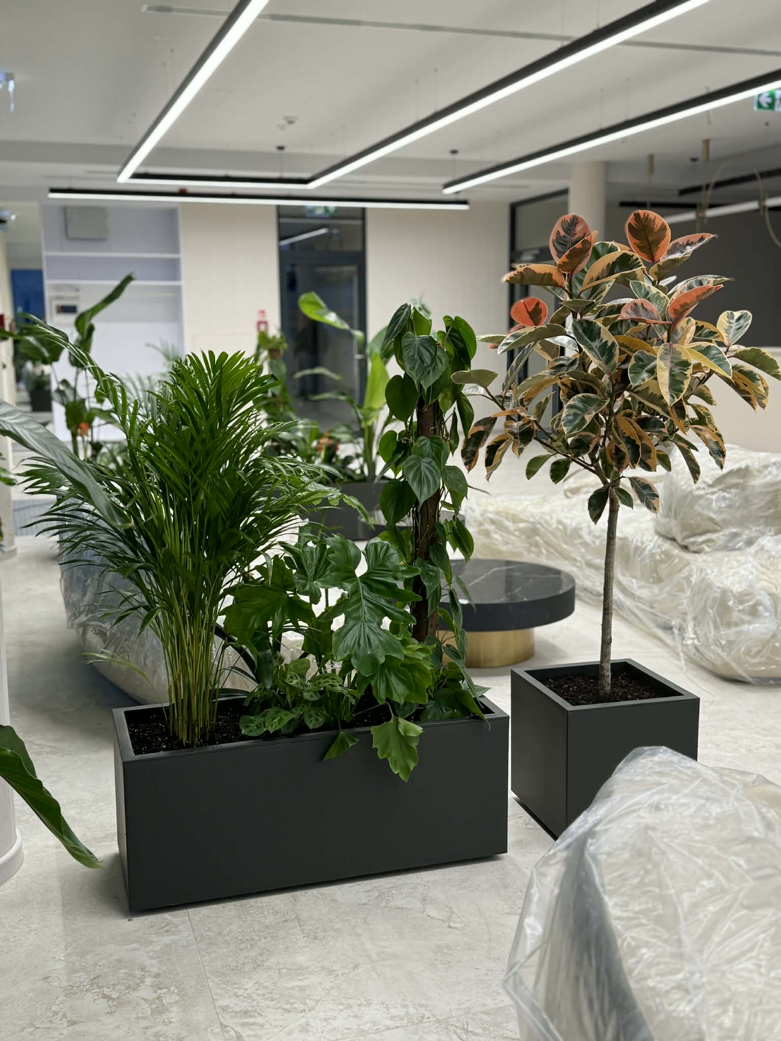 048fcdda-cec2-4f57-a0d9-53649818e6ff