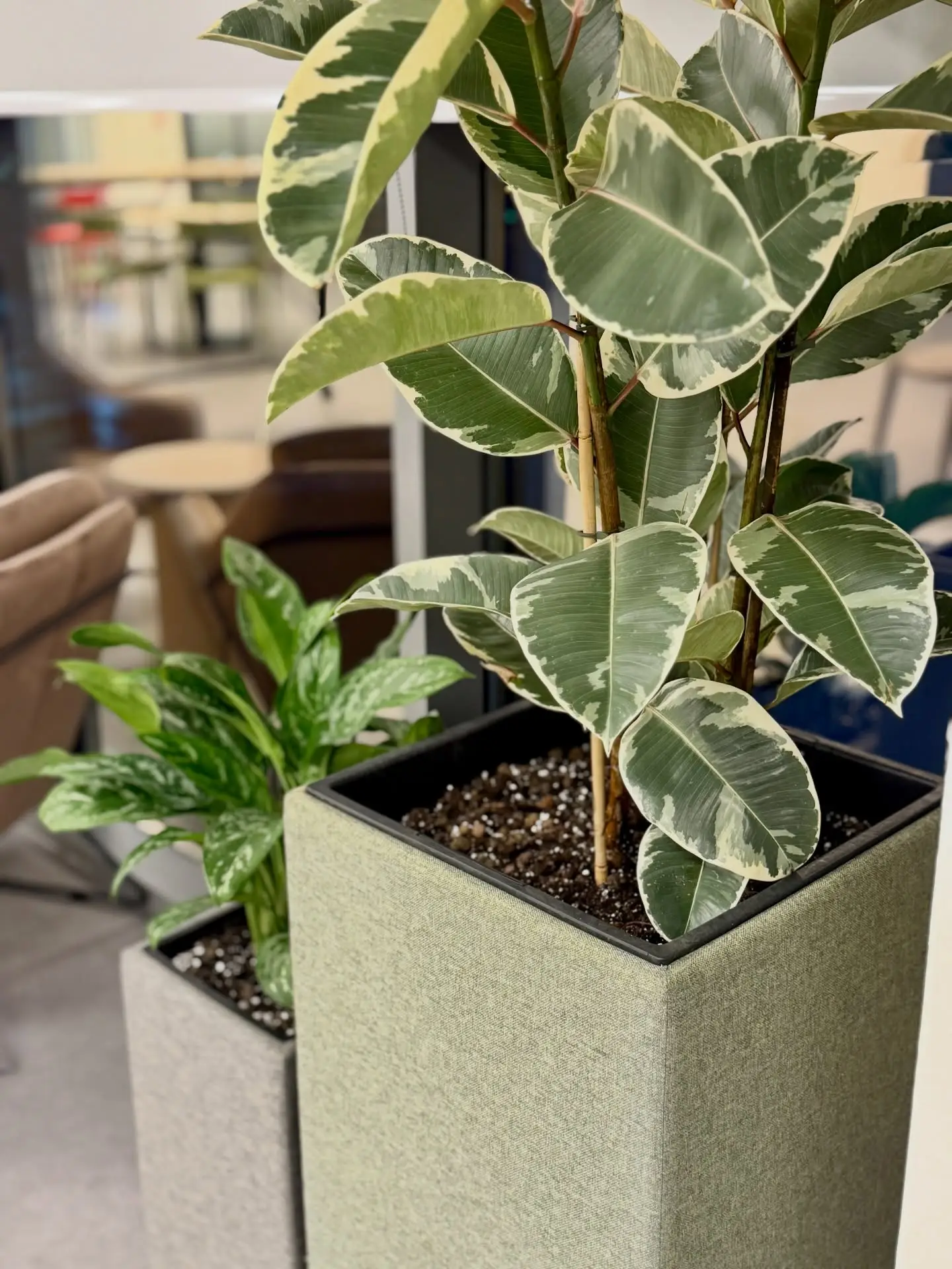 657930757_18405222355196003_9215333913293457189_n