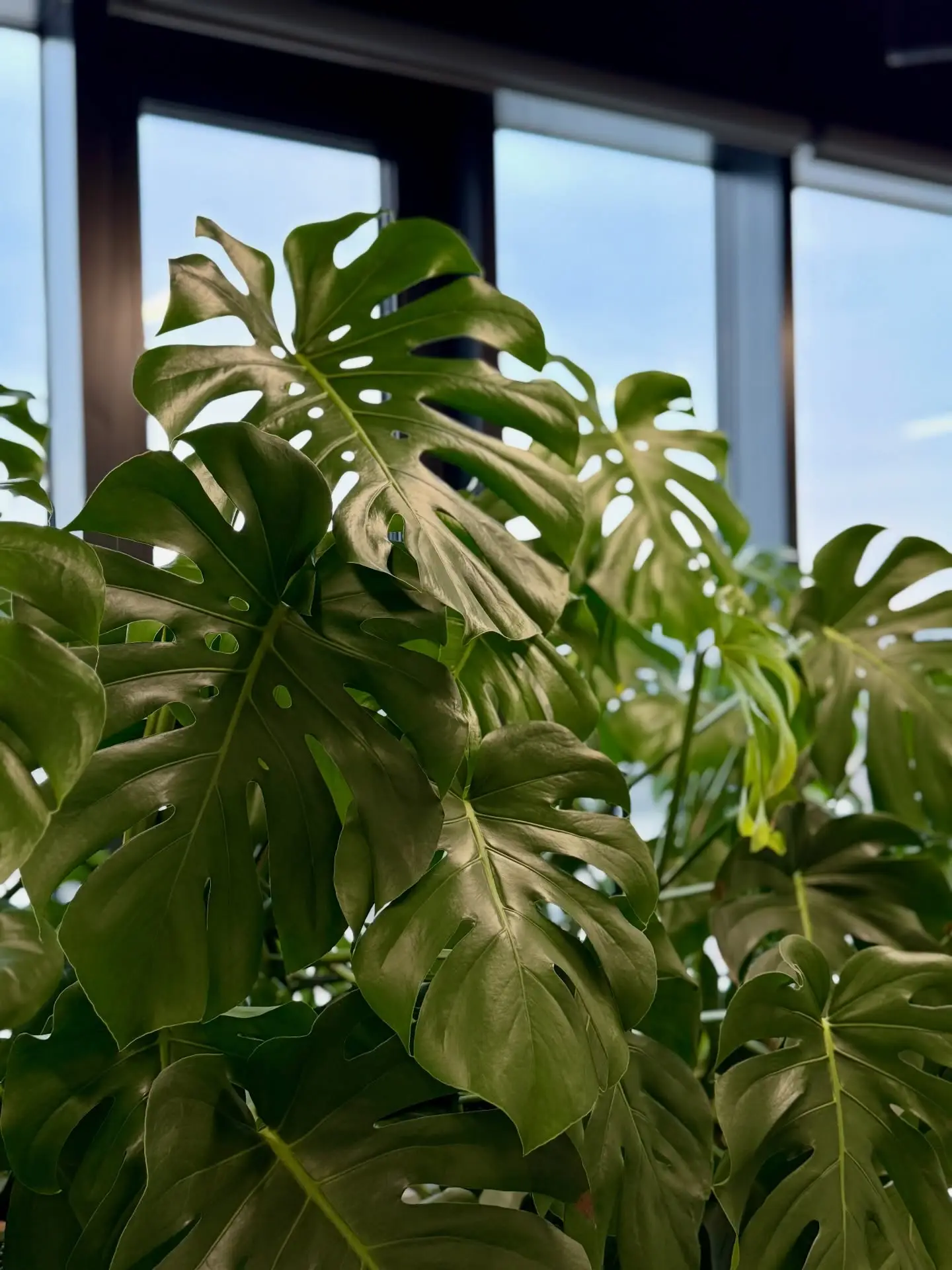 658603934_18405207007196003_6797930621459765339_n