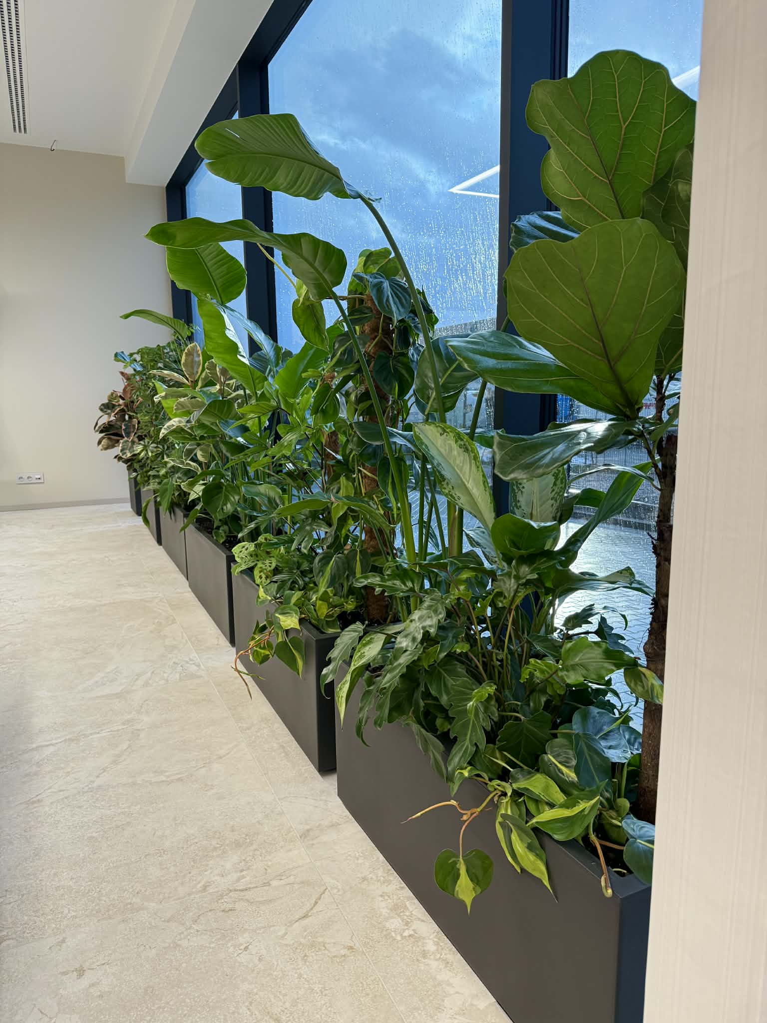 6d3593c8-8717-4e8d-9dfe-b1c267e0f3bb